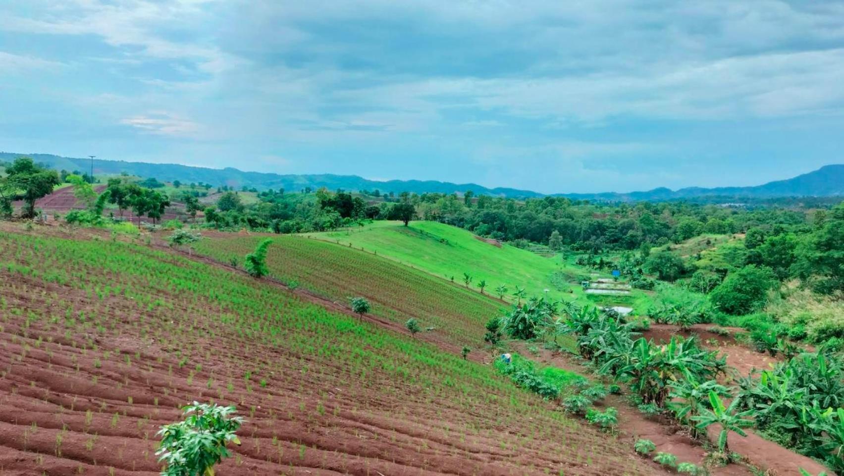 Smile Farm At Khaokho Hotel Ban Thung Samo Exterior photo