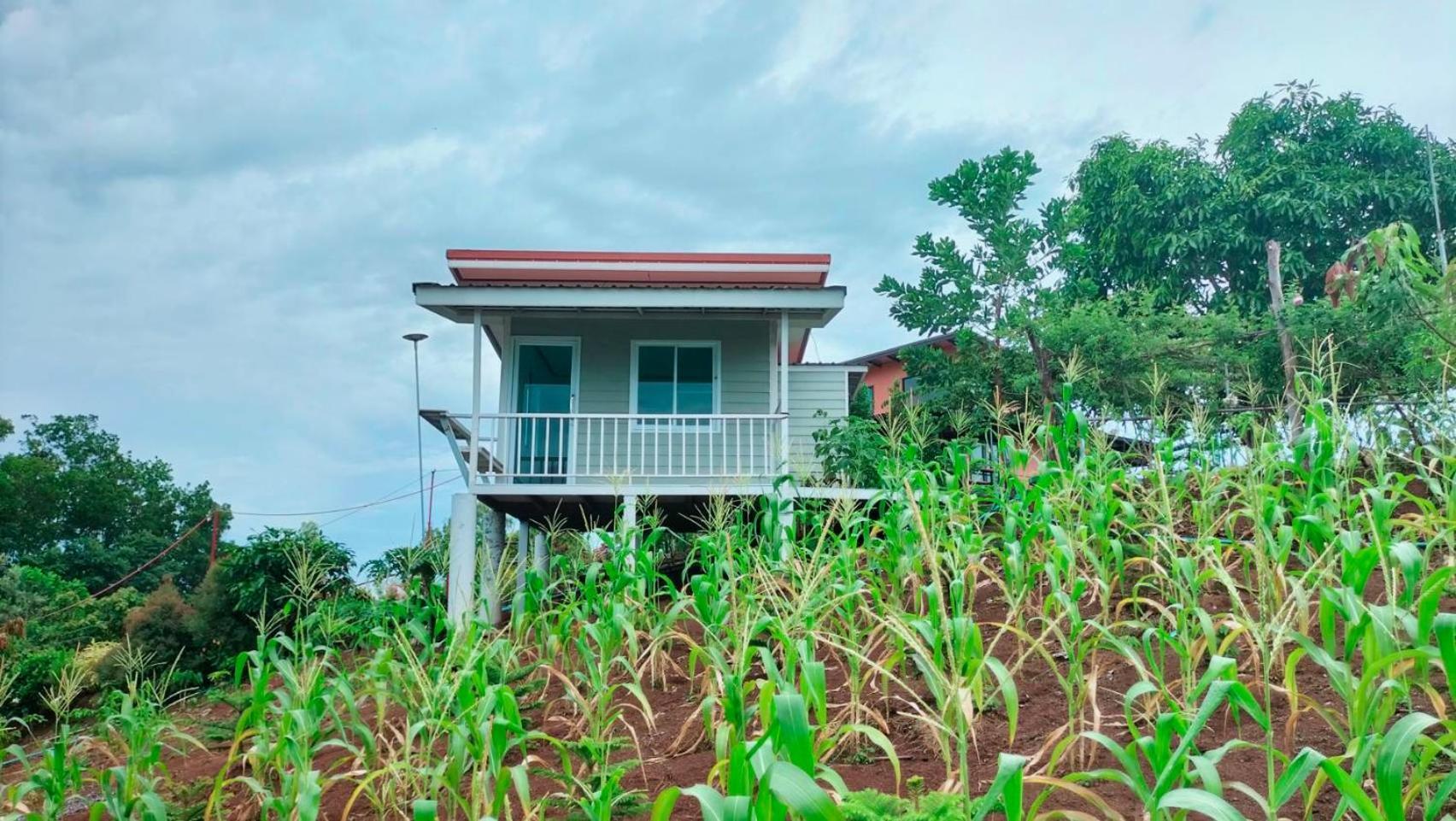 Smile Farm At Khaokho Hotel Ban Thung Samo Exterior photo